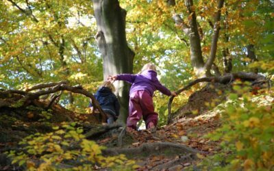 Les bienfaits des activités en pleine nature